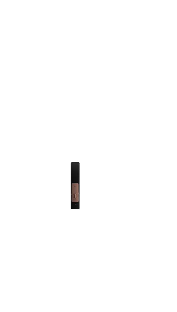 Aqara Smart Lock D200i
